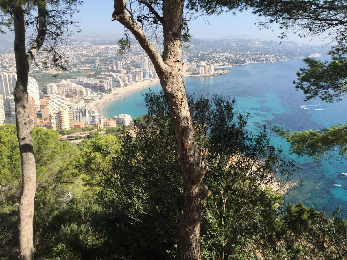 Apartmán Mesana 102 / Penthouse Calpe Exteriér fotografie